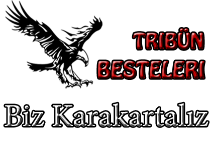 biz karakartalız