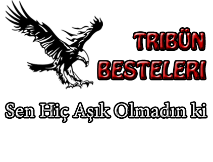 sen hiç aşık olmadın ki
