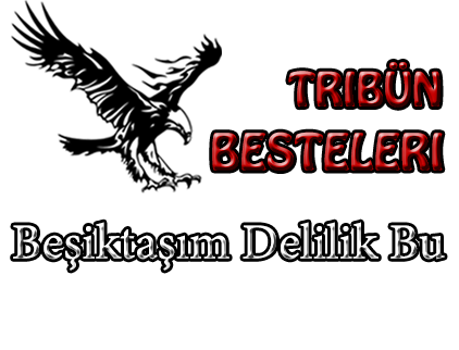 beşiktaşım delilik bu