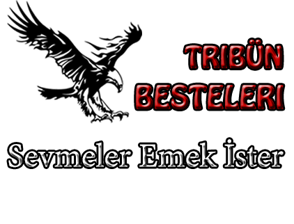 sevmeler emek ister