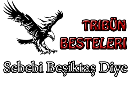 sebebi beşiktaş diye