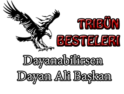 Dayanabilirsen dayan ali başkan