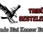 sende bizi kanser ettin