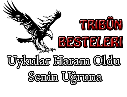 uykular haram oldu senin uğruna